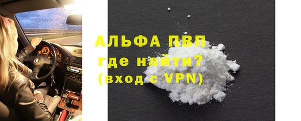 хмурый Алексин