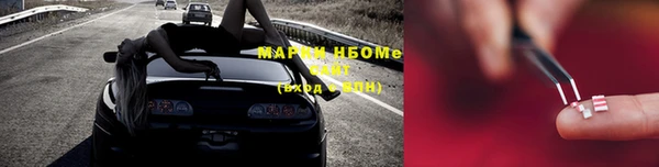 хмурый Алексин