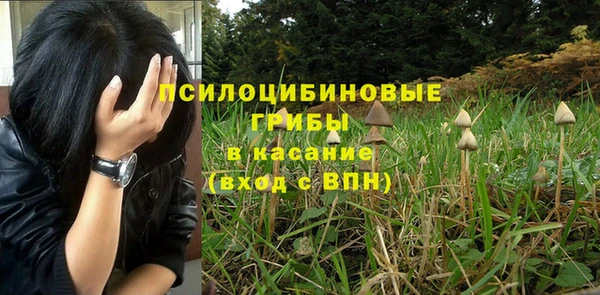скорость Алексеевка