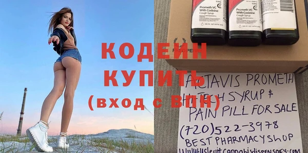 хмурый Алексин