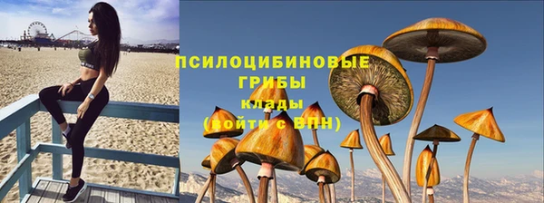 хмурый Алексин
